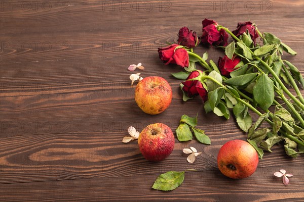 Withered, decaying, roses flowers and apples on brown wooden background. side view, copy space, still life. Death, depression concept