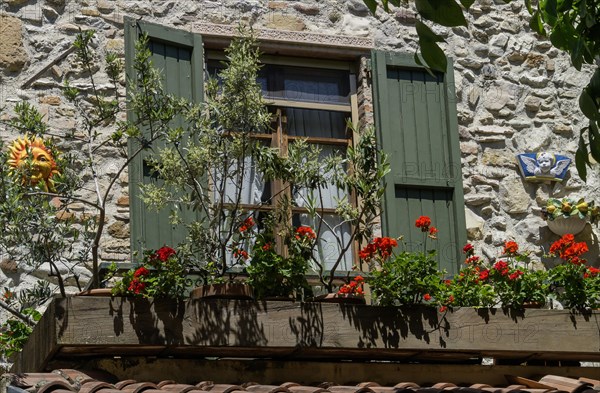 Window with green shutters and flower box with geraniums and olive trees, Lake Garda, Sirmione, Province of Brescia, Lombardy, Italy, Europe