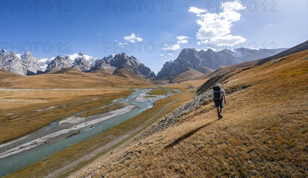 Mountaineer hiking to the mountain lake Kol Suu, mountain landscape with yellow meadows, river Kol Suu and mountain peaks with glacier, Keltan Mountains, Sary Beles Mountains, Tien Shan, Naryn Province, Kyrgyzstan, Asia