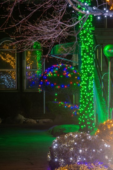 Reflections in windows of Christmas lights on sculpted evergreen trees next to concrete stairway in South Korea