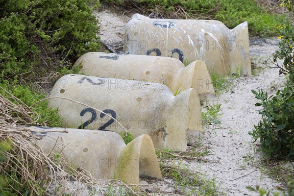 Artificial breeding burrows for african penguins (Spheniscus demersus), Boulders Beach, Simon's Town, Western Cape, Republic of South Africa