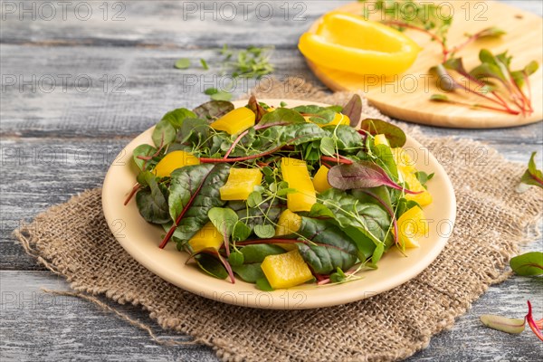 Vegetarian vegetables salad of yellow pepper, beet microgreen sprouts on gray wooden background and linen textile. Side view, close up