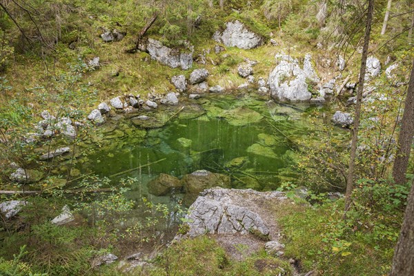 Pond with stones at the Eibsee lake, Grainau, Werdenfelser Land, Upper Bavaria, Bavaria, Germany, Europe
