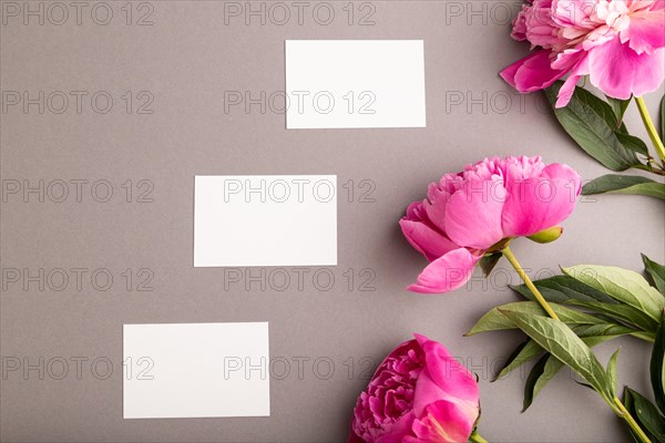White business card with pink peony flowers on gray pastel background. top view, flat lay, copy space, still life. Breakfast, morning, spring concept