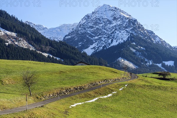 Rubihorn, near Schoellang, Illertal, Oberallgaeu, Allgaeu, Bavaria, Germany, Europe