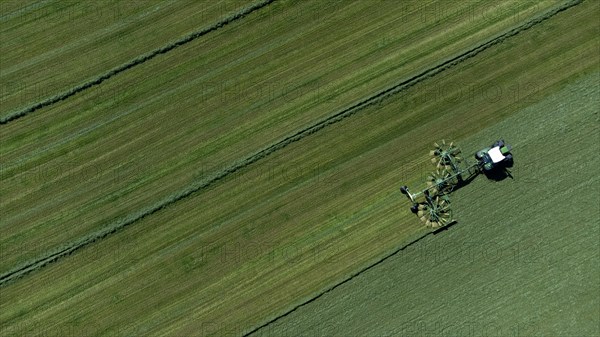 Farmer cutting grass to straight rows with tractor and large roundabout rake, drone shot, Upper Bavaria, Bavaria, Germany, Europe