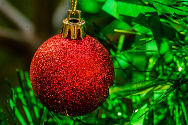 Closeup of red Christmas ornament and green tensile garland on pine tree in South Korea