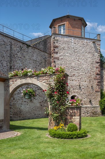 Remains of the historic town wall, Westhoffen, Alsace, France, Europe