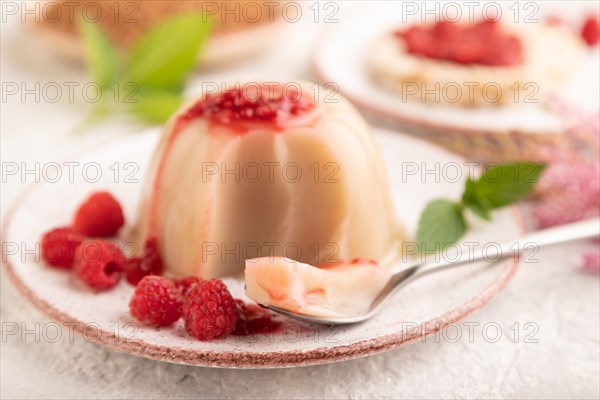 Buckwheat milk jelly with raspberry jam on gray concrete background. side view, selective focus