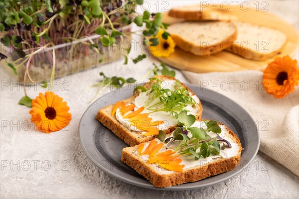White bread sandwiches with cream cheese, calendula petals and microgreen radish and tagetes on gray concrete background and linen textile. side view, selective focus