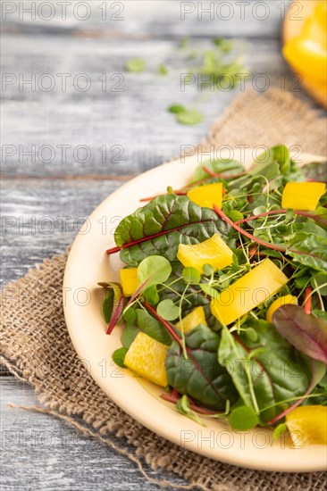 Vegetarian vegetables salad of yellow pepper, beet microgreen sprouts on gray wooden background and linen textile. Side view, close up, selective focus