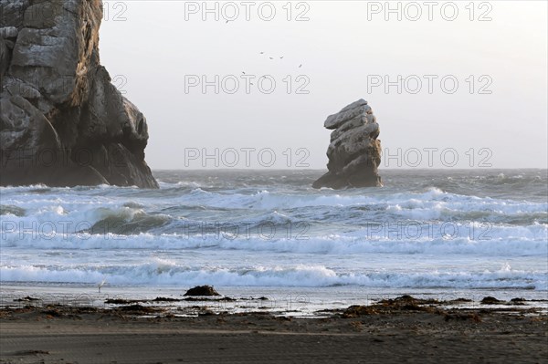On the beach near Morro Bay, Pacific Ocean, California, USA, North America