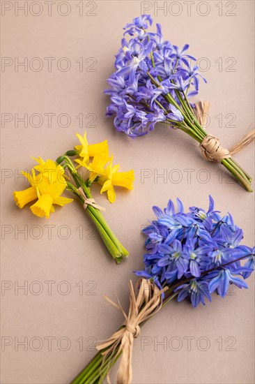 Spring snowdrop flowers bluebells, narcissus on beige pastel background. side view, close up, still life. Beauty, spring concept