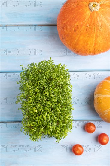 Microgreen sprouts of watercress with pumpkin on blue wooden background. Top view, flat lay, close up