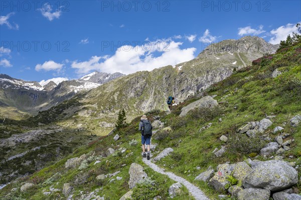 Mountaineers on a hiking trail in front of a picturesque mountain landscape, rocky mountain peaks with snow, valley Zemmgrund with Zemmbach, Berliner Hoehenweg, Zillertal Alps, Tyrol, Austria, Europe