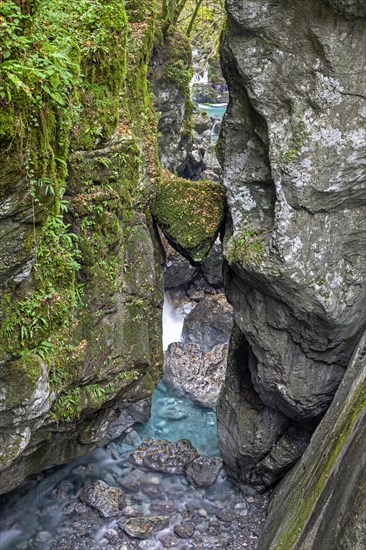 River in a gorge, canyon, Tolmin Gorge, Triglav National Park, Slovenia, Europe