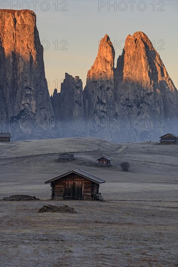 Hut on alp in front of steep mountains in the morning light, hoarfrost, Alpe di Siusi, behind Sciliar, Dolomites, South Tyrol, Italy, Europe