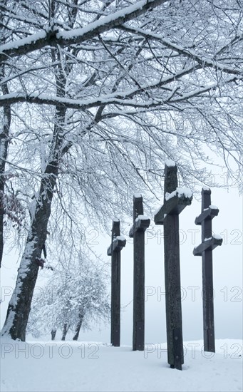 Plague crosses near Emmingen from Egg, Winter, Tuttlingen, Swabian Alb, Baden-Wuerttemberg, Germany, Europe