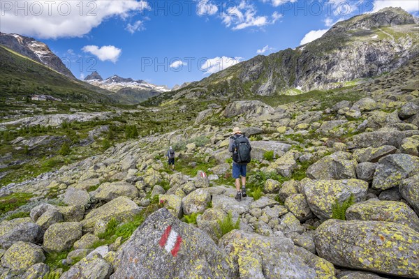 Mountaineers on a hiking trail in front of a picturesque mountain landscape, rocky mountain peaks with snow, behind mountain hut Berliner Huette and rocky mountain peaks, Berliner Hoehenweg, Zillertal Alps, Tyrol, Austria, Europe