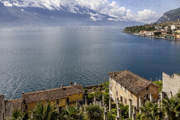 View over the Limonaia del Castel to Lake Garda and the Garda mountains, Limone sul Garda, Lombardy, Italy, Europe