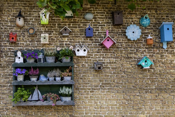 Flower shelf and birdhouse on a house wall, De Waal, Texel, North Holland, Netherlands