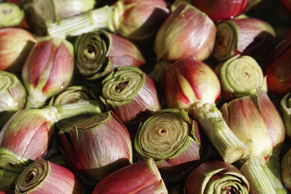 Artichokes, Rialto market, Rialto, Venice, Veneto, Italy, Europe