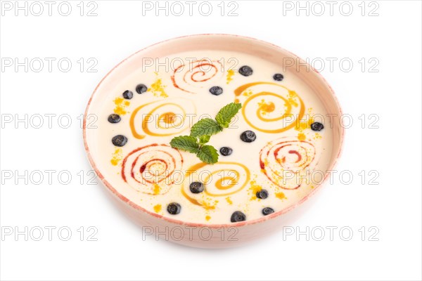 Yoghurt with bilberry and caramel in ceramic bowl isolated on white background. side view, close up