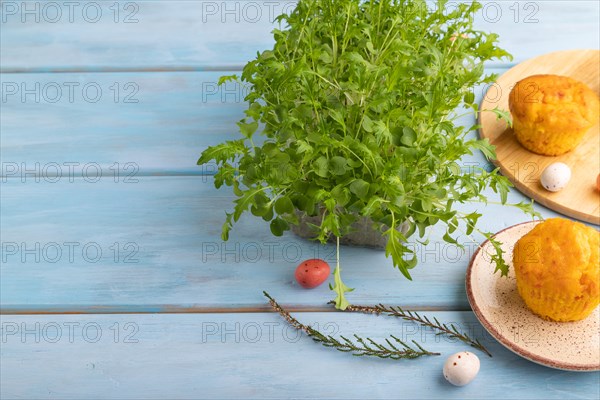 Homemade cakes with chocolate eggs and mizuna cabbage microgreen on a blue wooden background. side view, copy space