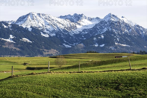 View of Heidelbeerkopf, Schnippenkopf, Entschenkopf and Rubihorn, near Kierwang, Illertal, Oberallgaeu, Allgaeu, Bavaria, Germany, Europe