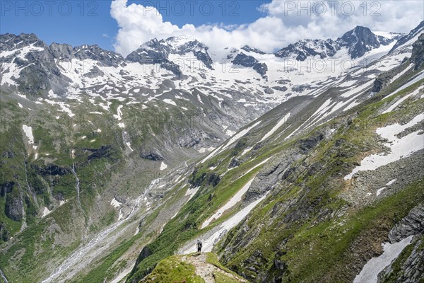 Mountaineer on hiking trail in picturesque mountain landscape, in the background mountain peak Grosser Loeffler and Oestliche Floitenspitze with glacier Floitenkees, valley Floitengrund, Berliner Hoehenweg, Zillertal Alps, Tyrol, Austria, Europe