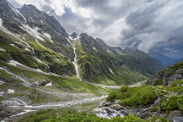 Green mountain valley Floitengrund with mountain stream Floitenbach, ascent to Greizer Huette, Berliner Hoehenweg, Zillertal Alps, Tyrol, Austria, Europe