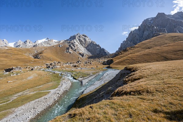 Mountain landscape with yellow meadows and river Kol Suu, mountain peak with glacier, hike to the mountain lake Kol Suu, Keltan Mountains, Sary Beles Mountains, Tien Shan, Naryn Province, Kyrgyzstan, Asia