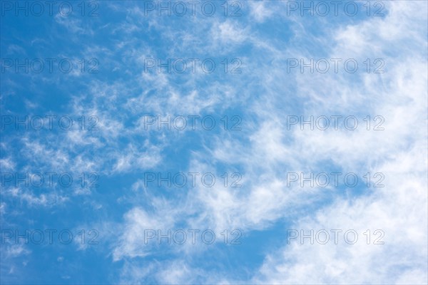 A field of airy, white cirrucumulus clouds, small fleecy clouds cover the blue sky, spring, summer, Lower Saxony, Germany, Europe