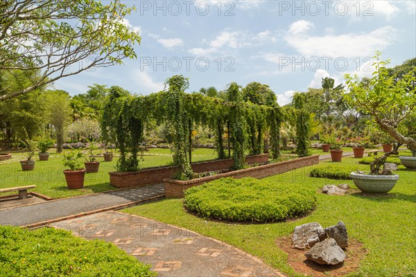 Palm collection in city park in Kuching, Malaysia, tropical garden with large trees and lawns, gardening, landscape design, stone composition, rockery. Daytime with cloudy blue sky, Asia