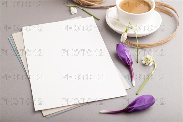 White paper sheet mockup with spring snowdrop crocus and galanthus flowers and cup of coffee on gray background. Blank, business card, side view, copy space, still life. spring concept