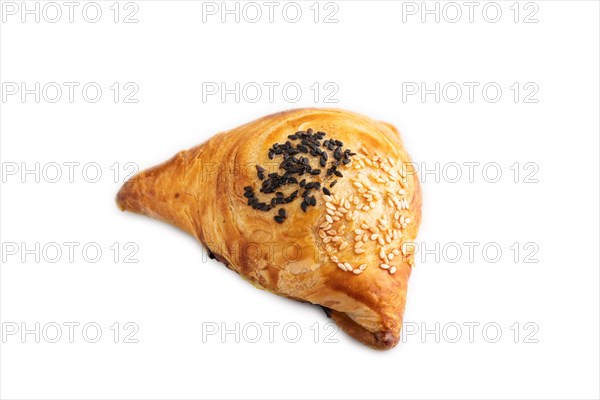 Homemade asian pastry samosa isolated on white background. side view, close up