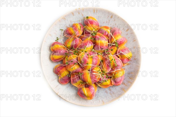 Rainbow colored dumplings with pepper, herbs, microgreen isolated on white background. Top view, flat lay