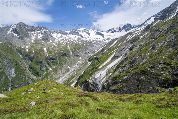 Picturesque mountain landscape with rocky mountains and glaciers, behind mountain peak Grosser Loeffler and Oestliche Floitenspitze with glacier Floitenkees, valley Floitengrund, Berliner Hoehenweg, Zillertal Alps, Tyrol, Austria, Europe