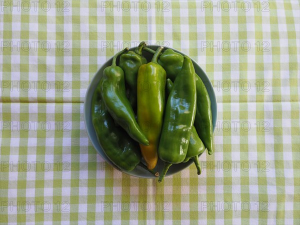 Green bell peppers vegetables