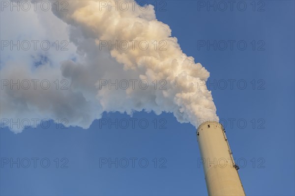 Symbolic image energy transition, fossil fuels, smoking chimney, industrial plant, chimney, flue, smoke, coal, Mannheim, Baden-Wuerttemberg, Germany, Europe