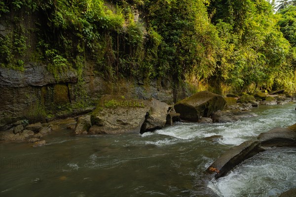 Uma Anyar waterfall, Bali island, Ubud, Indonesia. Jungle, tropical forest, daytime with cloudy sky