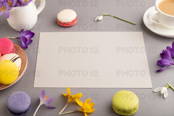 Beige paper sheet mockup with spring snowdrop crocus flowers and multicolored macaroons on gray pastel background. Blank, business card, side view, copy space, still life. spring concept