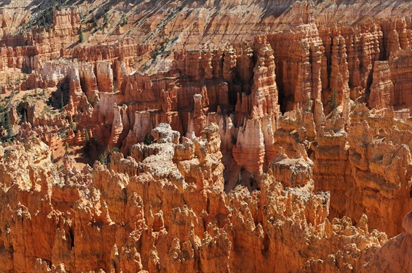 Rocky landscape with hoodoos, Bryce Canyon National Park, Utah, America, USA, North America