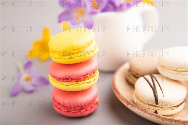 Multicolored macaroons with spring snowdrop crocus flowers on gray pastel background. side view, close up, still life, selective focus. Breakfast, morning, spring concept
