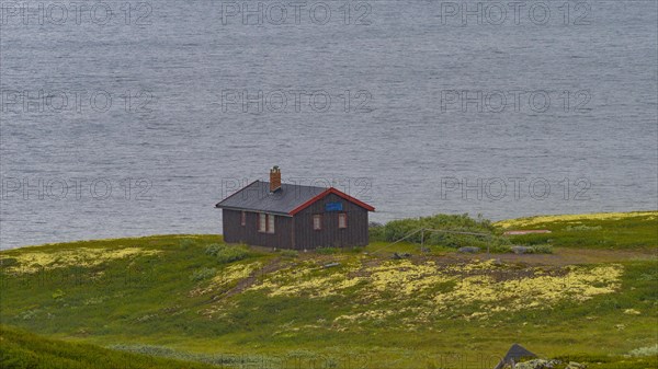 Shot of a hut at Soenstevatn in the rain, landscape format, inland waters, log cabin, holiday home, Fjell, Fjellhuette, plateau, wooden house, landscape, landscape photo, panoramic shot, summer, shore, clouds, secluded, remote, lonely, Uvdal, Viken, Norway, Europe