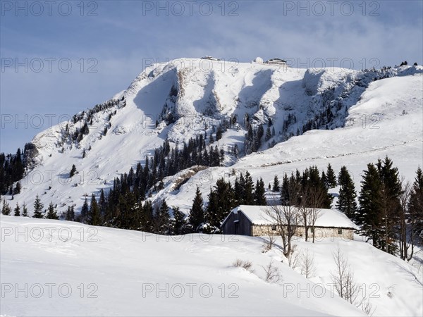 Winter atmosphere, snow-covered landscape, Schafbergalm, behind the Schafberg, near St. Wolfgang am Wolfgangsee, Salzkammergut, Upper Austria, Austria, Europe