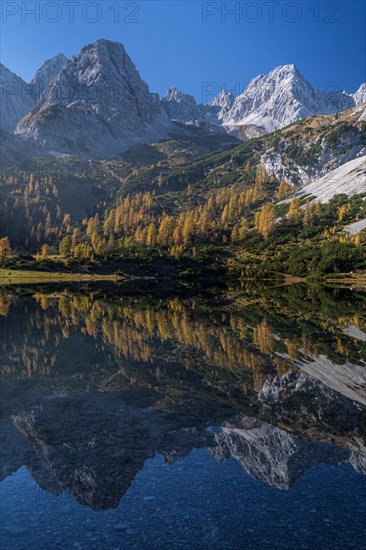 Mountains reflected in mountain lake, sun, autumn, Seebensee, Mieminger Kette, Tyrol, Austria, Europe
