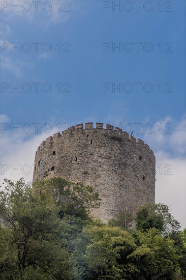 Tower of castle ruins behind treeline against blue partly cloudy sky in Istanbul, Tuerkiye