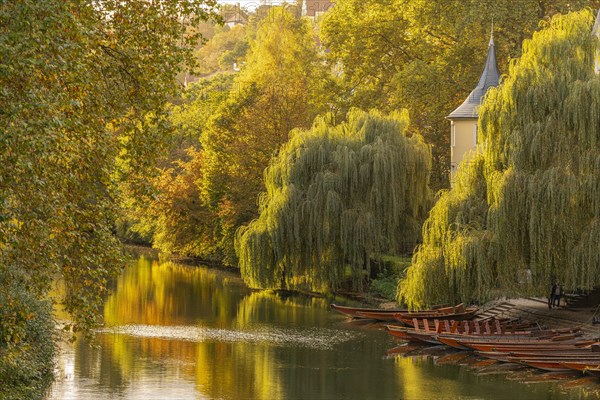 FHoelderlinturm in Tuebingen on the Neckar, golden autumn in the sunshine