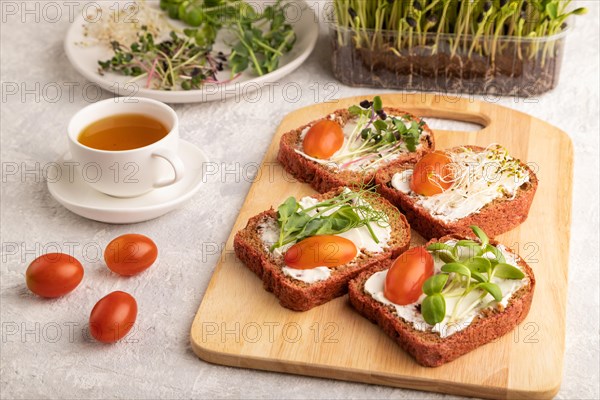 Red beet bread sandwiches with cream cheese, tomatoes and microgreen on gray concrete background. side view, close up